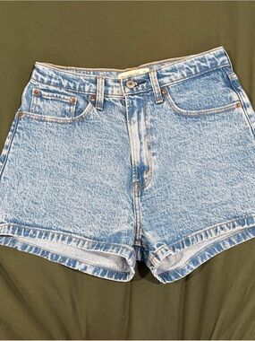 Light Wash Jean Shorts Curve Love